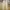 Denim Pants Straight Fit Unknown Brand beige photo 1