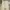 Denim Pants Straight Fit Unknown Brand beige photo 4