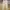 Denim Pants Straight Fit Unknown Brand Beige