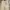 Denim Pants Straight Fit Unknown Brand beige photo 3