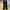 Chino Pants Straight Pants Bobson Happy Face black photo 1
