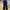 Chino Pants Straight Pants Bobson Happy Face Black