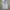 ZARA DENIM OPEN SLIT HIGHWAIST SKIRT  photo 1