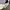 CRWENECK GUESS MULTI COLOUR photo 4