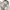 JACKET LL BEAN DUCK HUNTING JACKET MEN’S photo 5