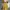 Vintage Boho Dress | Stripes Yellow-Brown | Flowly & Feminin photo 2