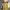Vintage Boho Dress | Stripes Yellow-Brown | Flowly & Feminin