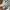 Vans Slip on Vault OG Checkerboard size 11  photo 8