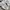 NEW BALANCE 530 WHITE SILVER photo 2