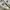 NEW BALANCE 1906R photo 2