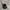 Carhartt WIP Delta Neck Pouch Black photo 2