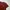 KAOS POLHAM POCKET BAJU T-SHIRT MAROON POLOS ORIGINAL photo 2