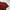 KAOS POLHAM POCKET BAJU T-SHIRT MAROON POLOS ORIGINAL