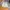 Carhartt Short Carpenter Pant Tan photo 4