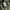 Carhartt Midweight Basic Logo Hoodie Moss Green - K121 316 photo 7