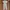 Luxury Minimalist Jumpsuit Wanita White