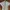 Luxury Minimalist Jumpsuit Wanita white photo 2
