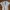 Luxury Minimalist Jumpsuit Wanita white photo 3