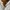 ZARA Luxury Minimalist Shirt Wanita white photo 3