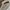 ZARA Luxury Minimalist Shirt Wanita white photo 4