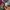 Coquette y2k depopy2k cop copine baroque pattern graphic photo 8