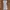 Bamboo Blonde Minimalist Casual Summer Dress Wanita White