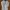 Bamboo Blonde Minimalist Casual Summer Dress Wanita White