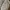 Bamboo Blonde Minimalist Casual Summer dress Wanita white photo 3