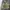 Vintage Current Stage Harrington Suede Jacket photo 5