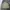 Vintage Current Stage Harrington Suede Jacket photo 6