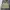 Vintage Current Stage Harrington Suede Jacket photo 2