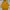 CRSL unisex oversized hoodie in mustard yellow photo 1