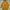 CRSL Unisex Oversized Hoodie In Mustard Yellow