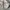 Hoodie Avirex us army photo 4