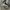 cowboy boots  photo 3