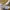 Nike Blazer Mid 77 X Have A Good Game photo 1