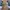 Jordan WestrBook One Take 2 PF Multi Color photo 2