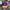 New Era Lakers Snapback Caps photo 1