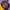 New Era Lakers Snapback Caps photo 7