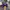 New Era Lakers Snapback Caps photo 3