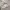Liz Lisa Lace Up Milkmaid Floral Shimmer Whimsical Puffy Fai photo 6