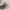 Liz Lisa Lace Up Milkmaid Floral Shimmer Whimsical Puffy Fai photo 3