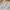 Liz Lisa Lace Up Milkmaid Floral Shimmer Whimsical Puffy Fai photo 8