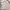Milkmaid Floral Eyelet Bow Bustier Bodyfit Babydoll Dress photo 4