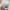 Milkmaid Floral Eyelet Bow Bustier Bodyfit Babydoll Dress photo 8