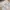 Milkmaid Floral Eyelet Bow Bustier Bodyfit Babydoll Dress photo 2