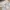 Milkmaid Floral Eyelet Bow Bustier Bodyfit Babydoll Dress