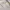 Milkmaid Floral Eyelet Bow Bustier Bodyfit Babydoll Dress photo 6