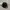 Rapha pro team 2018 winter chartreuse cycling hat photo 1