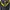 Made in USA Sportswear Windbreaker Pria yellow black photo 3